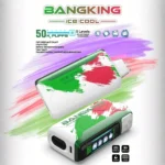 Bang King 60000 拋棄式電子煙｜LED 螢幕顯示 × 五檔冰度調節｜超長續航大容量・多款口味：圖片 11